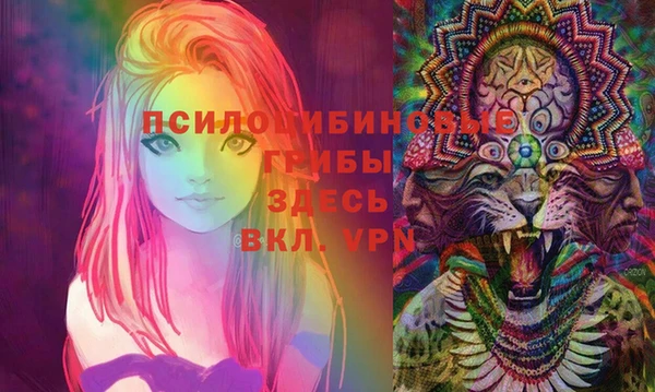 дмт Абинск