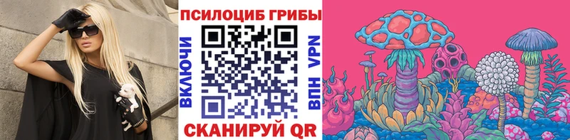 Галлюциногенные грибы мицелий  продажа наркотиков  Юрга 